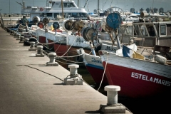 pescadores-del-puerto-de-punta-del-este-2