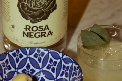 M_Trajtenberg__MG_4308_0082