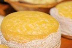 queso-del-cardo-del-mozon-3