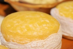 queso-del-cardo-del-mozon-3