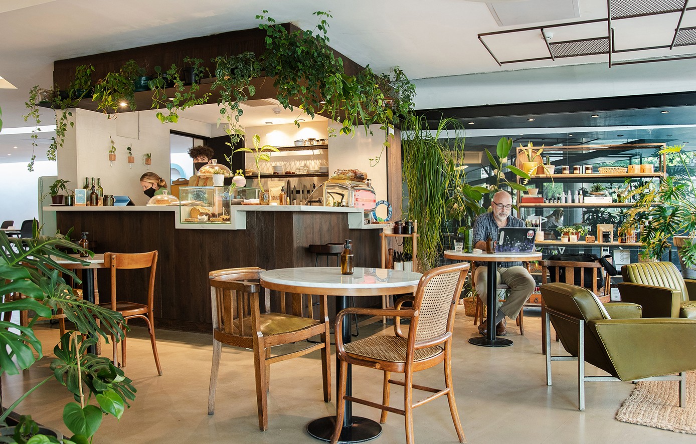Botánico es más que un café de paso A La Carta Portal